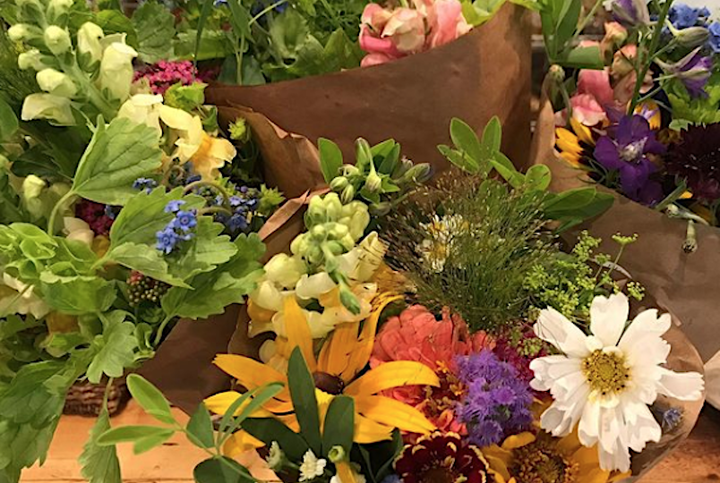 Woodstock Field to Vase