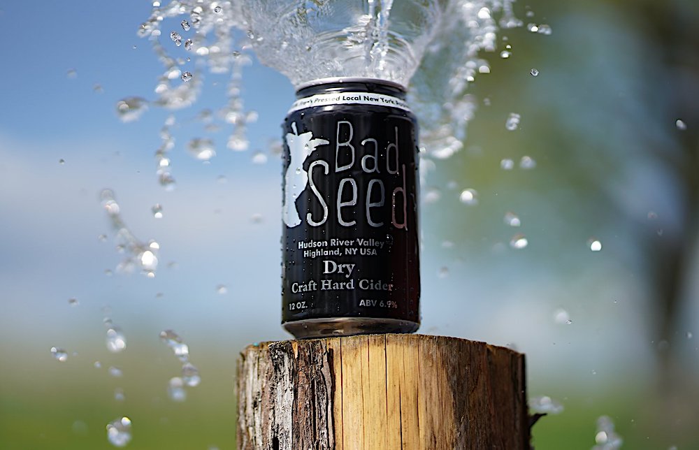bad seed small batch cider