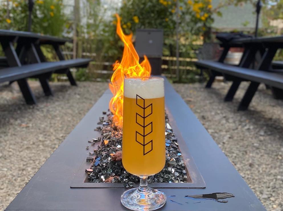 subversive malting and brewing