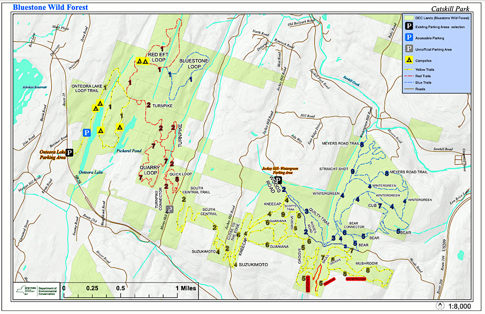 Map of Bluestone Wild Forest