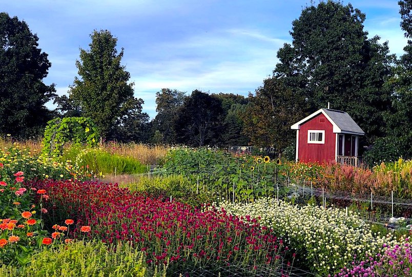 Heartbreaker Flower Farm