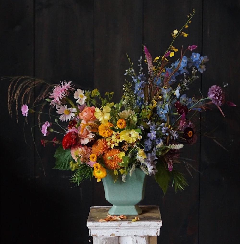 Hops Petunia Florist