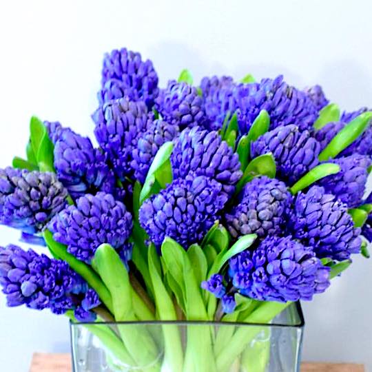 Jarita's Florist Woodstock NY