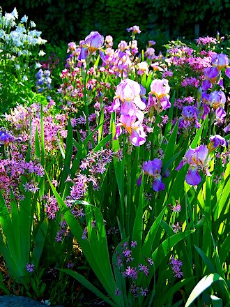 Beatrix Farrand Garden Association Hyde Park NY