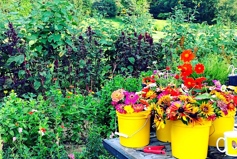 Brittany Hollow Farm Rhinebeck NY