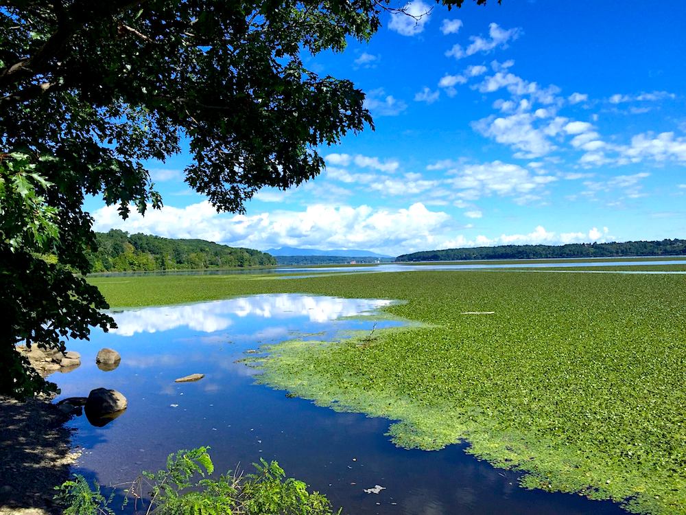 Esopus Meadows Preserve Ulster Park NY