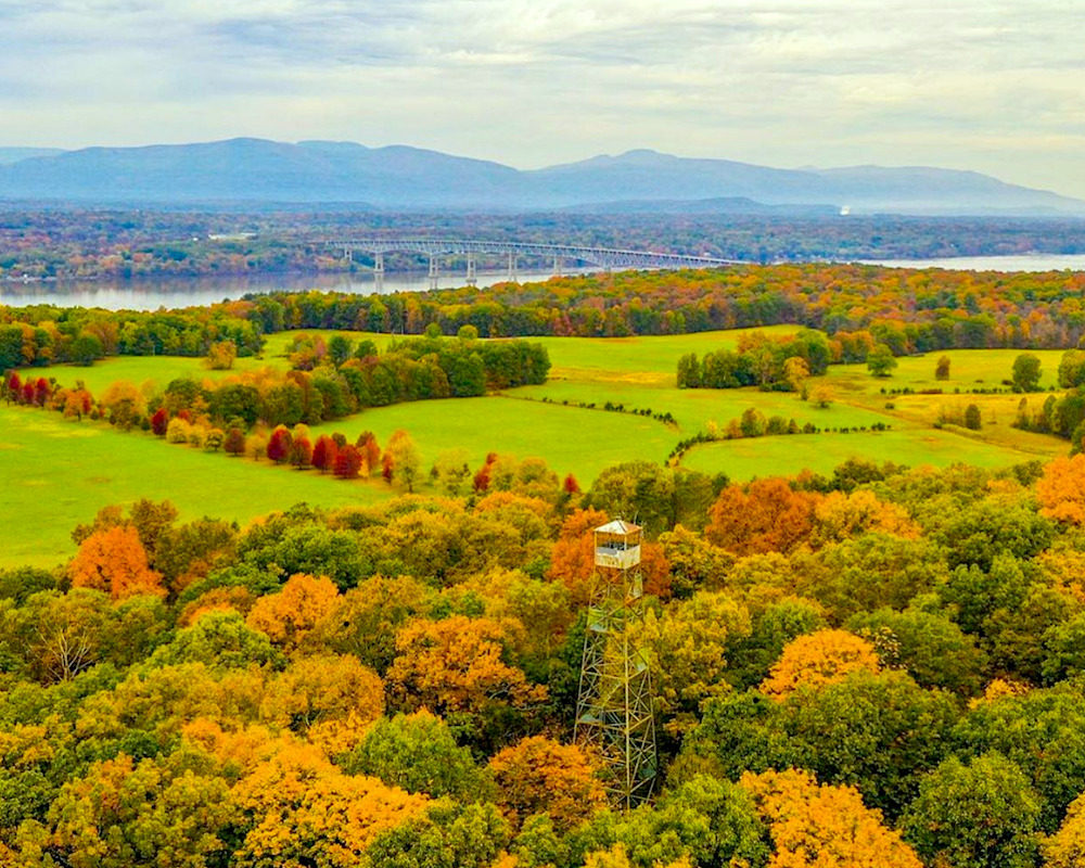 Ferncliff Forest Rhinebeck NY