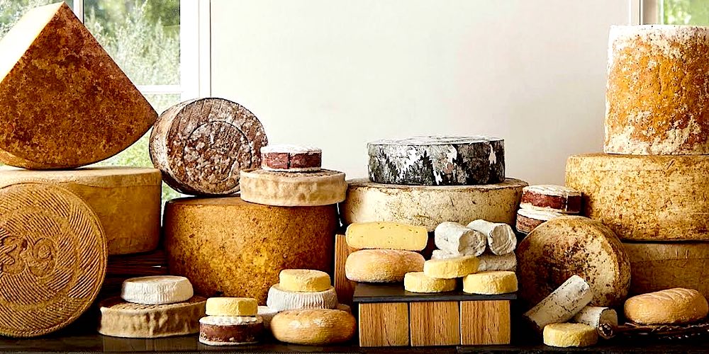 Talbott + Arding Cheese + Provisions Hudson NY