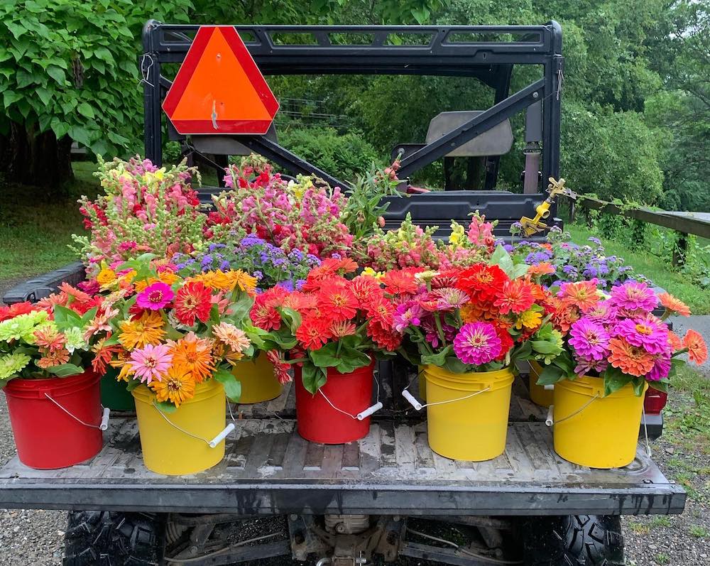 Truck load of flowers from Brittany Hollow Flower Farm