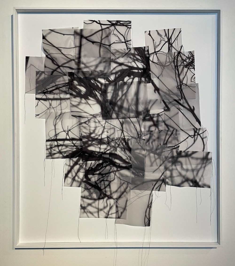 Artwork by Alex Goldberg | The Swimming Hole Foundation
