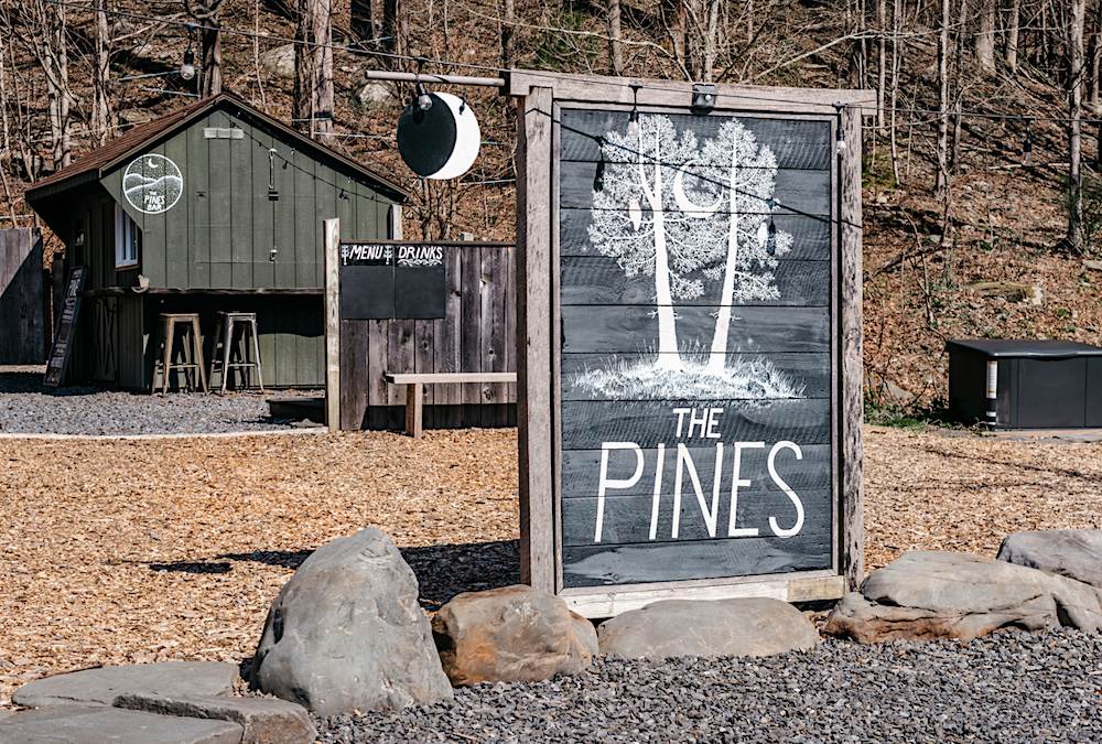 The Pines Mount Tremper NY