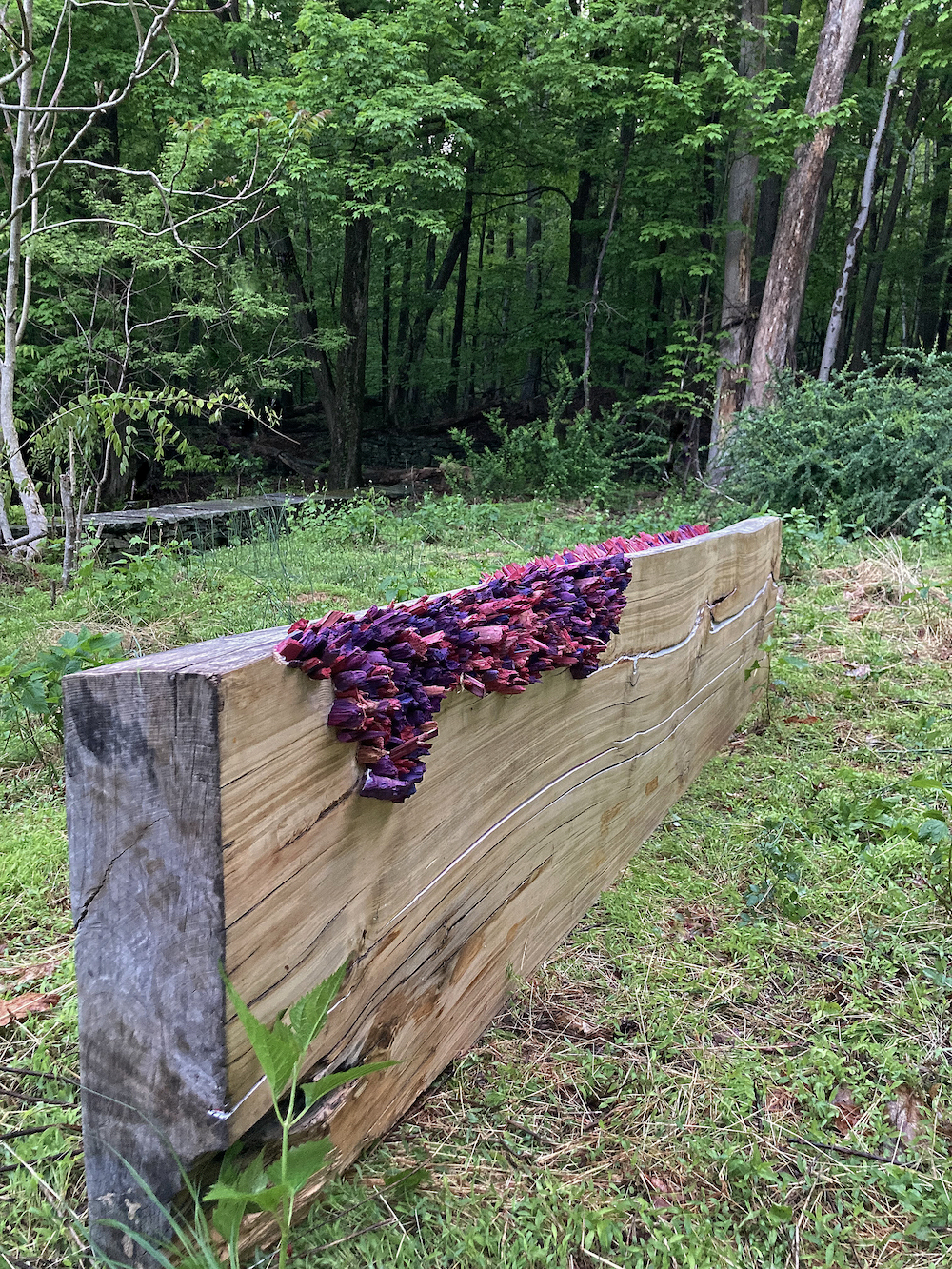 wooden slab with burgundy tissue paper placed in a "growth" sculpture in the woods