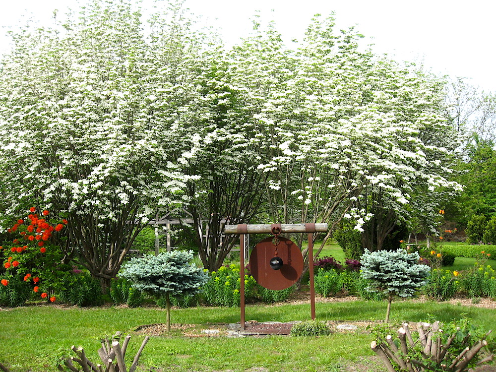 spring asian designed garden