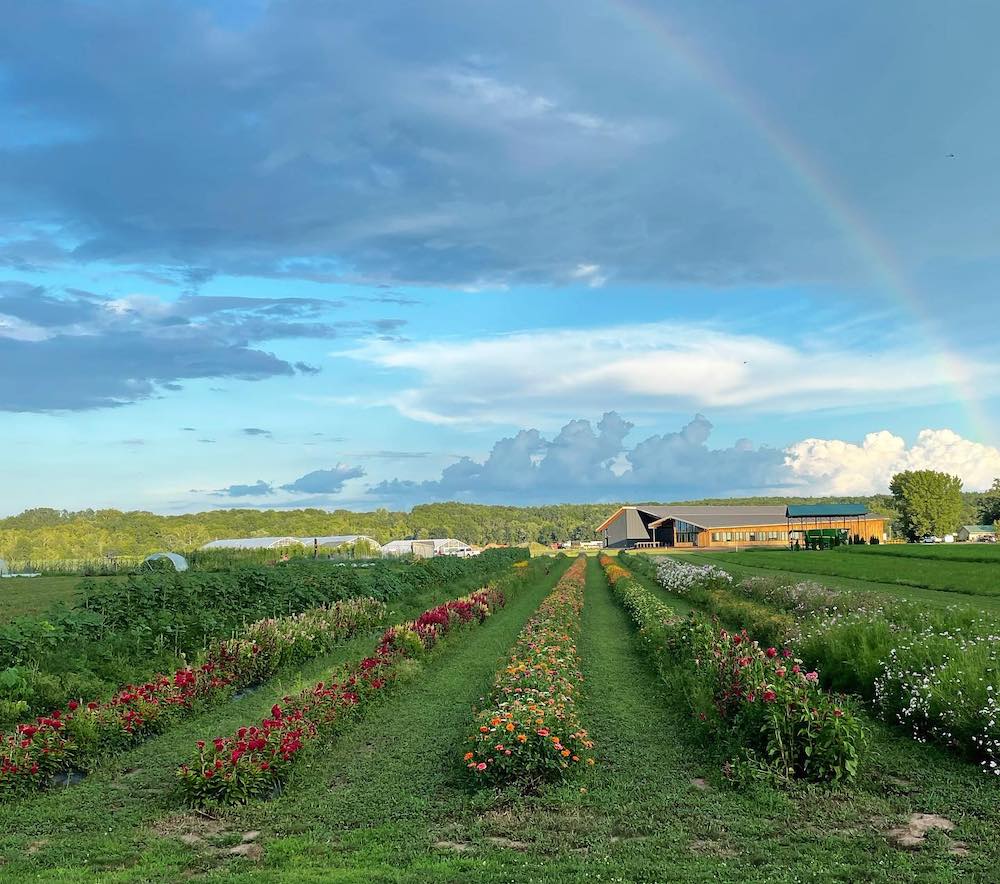 flower farm in Olivebridge NY