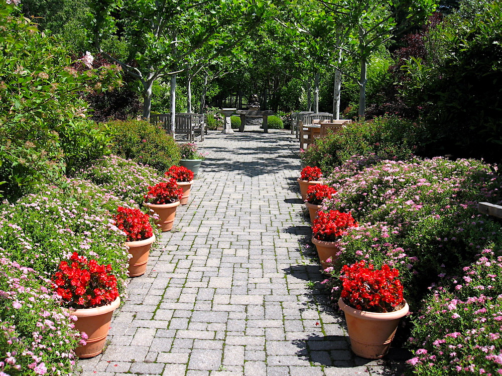 garden path with potted red flowers