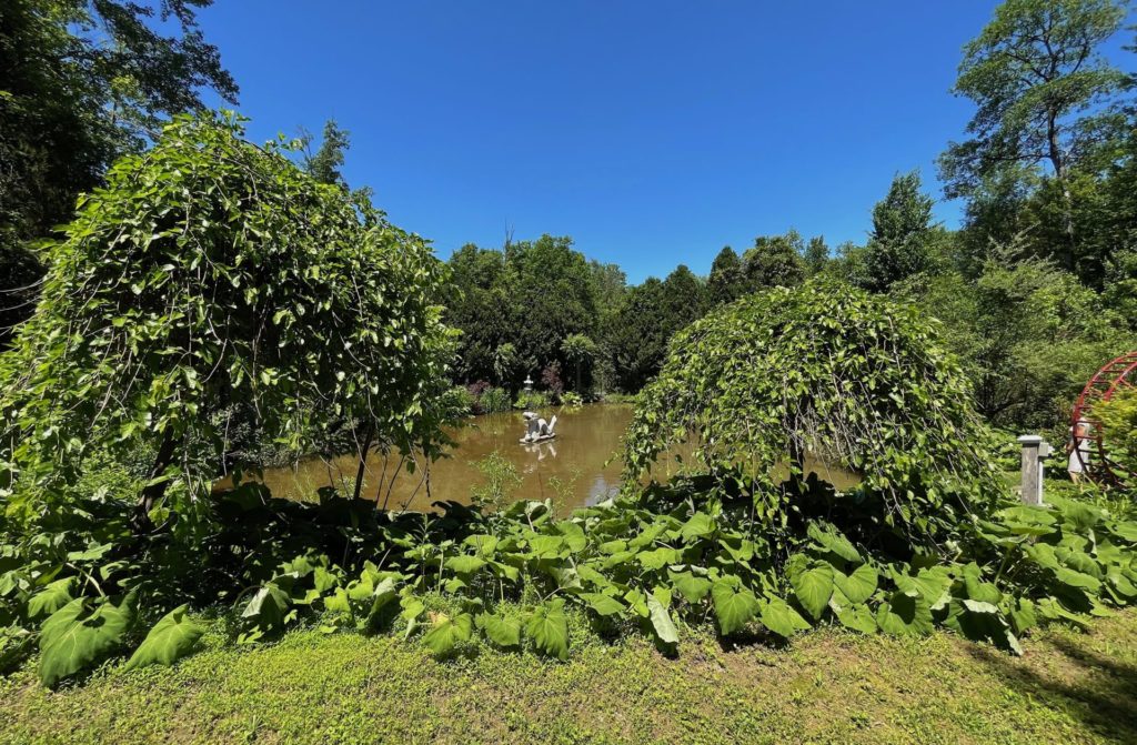 Dragon in Pond Olivebridge | Jim Dinsmore photo Terry Dagrosa