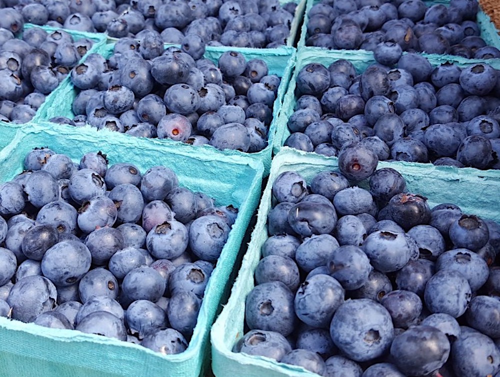 fresh blueberries at Hudson Farmers Market