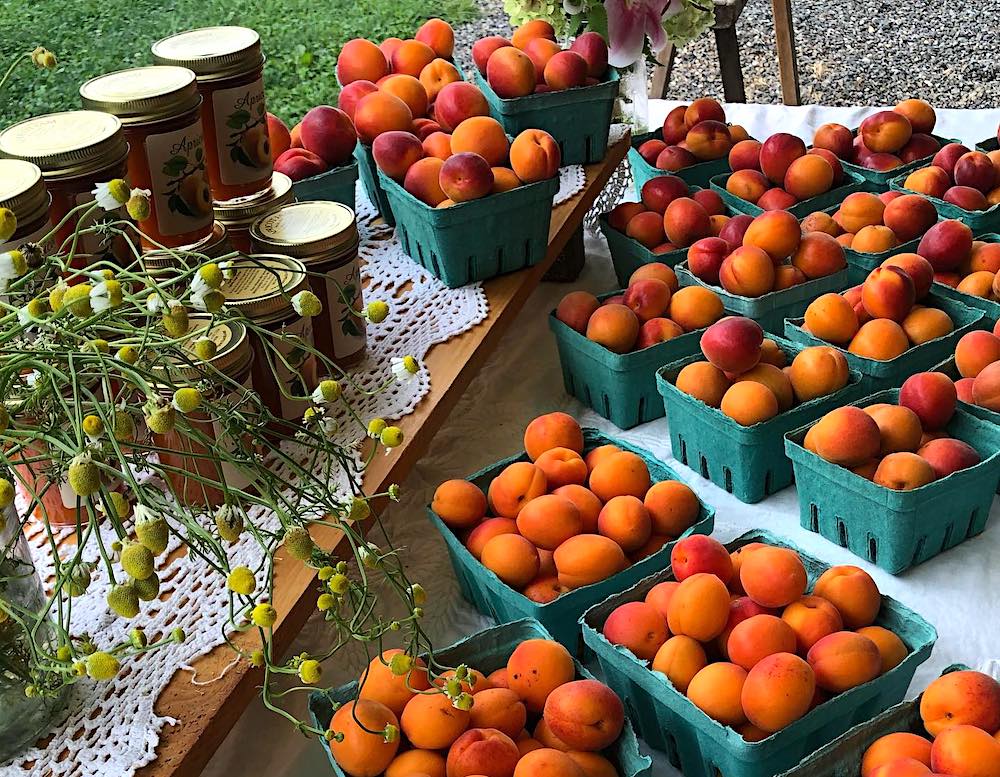 peaches and canned goods at farmers market
