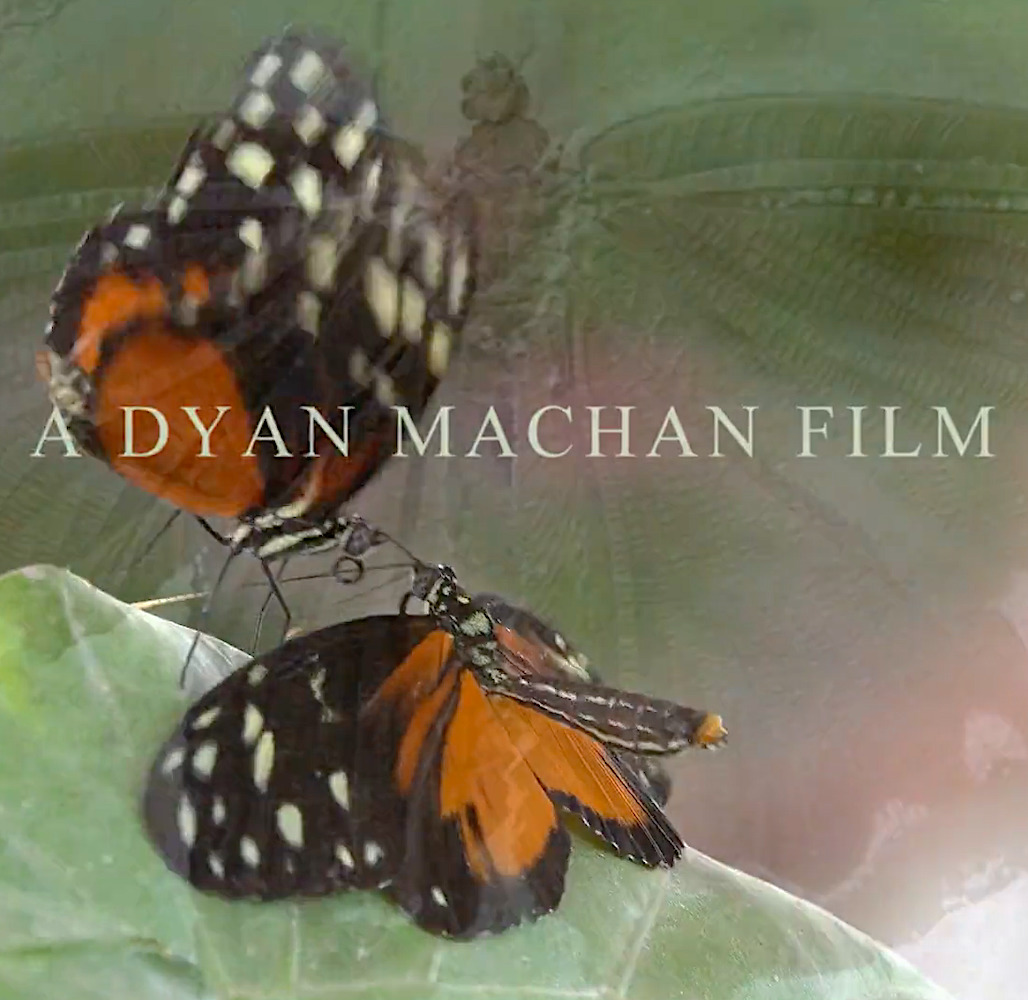Film Producer Dyan Machan