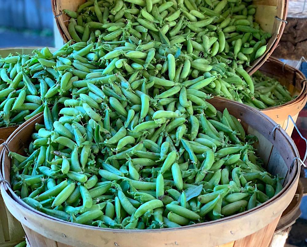 basket of sugar snap peas at farmers market upstate ny