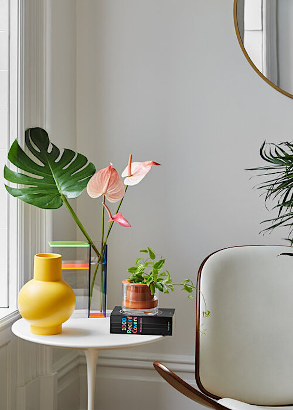 interior-photo-vases-kate-sears-photography