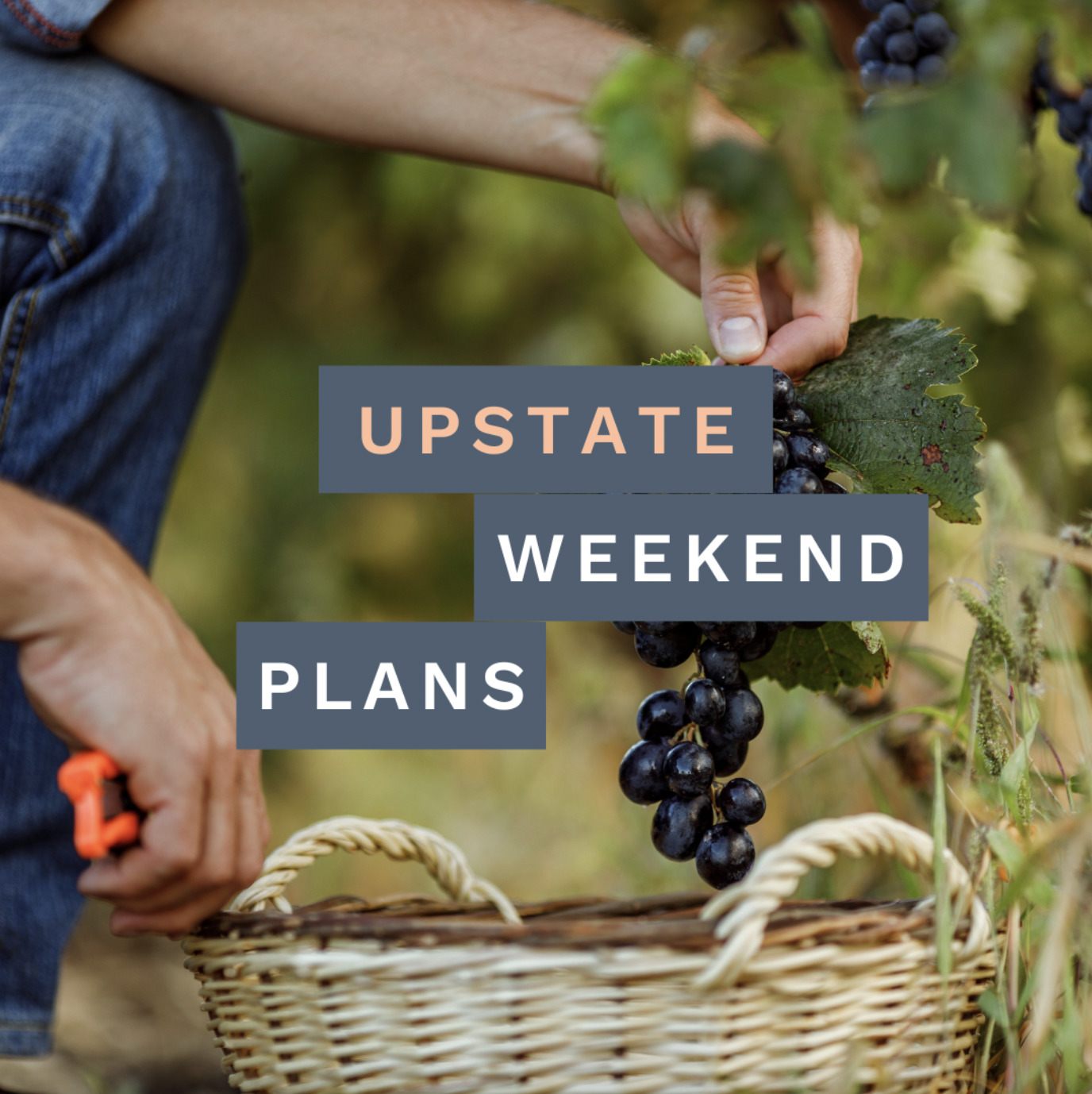 image of grapes and a basket with Upstate Weekend Plans written across it