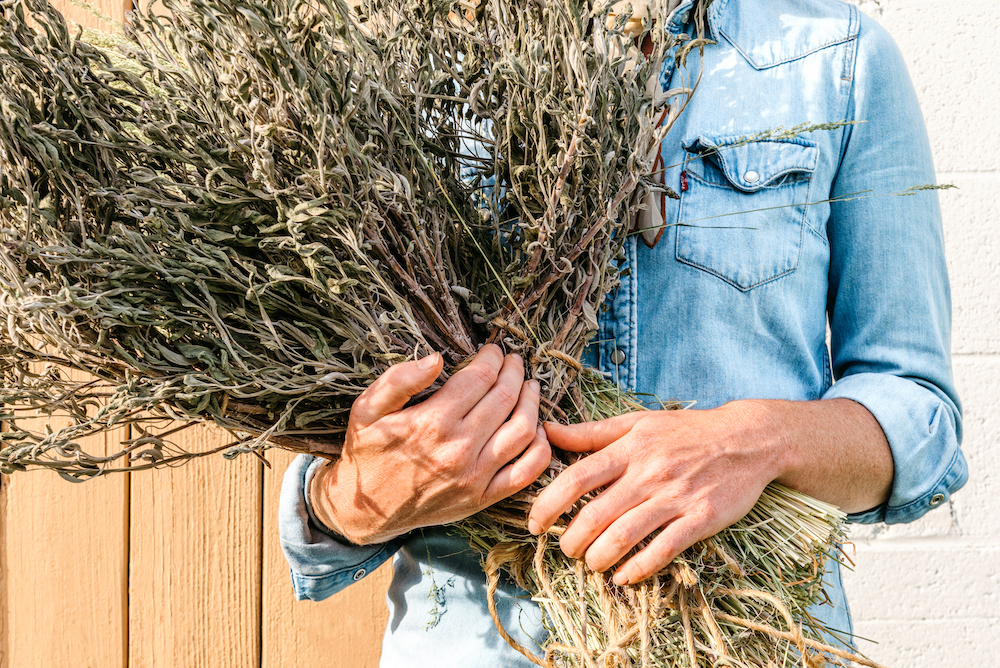 dried plants in hand Callisto Farm