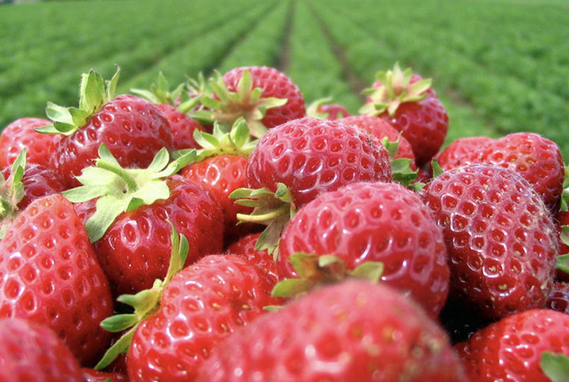 strawberries