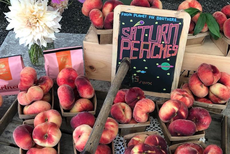 saturn peaches with sign in buckets
