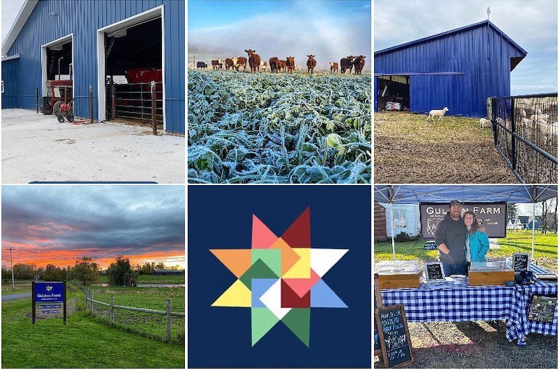 photo montage of a cattle farm