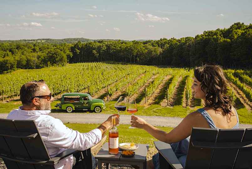 two people toasting wine glasses overlooking a vineyard