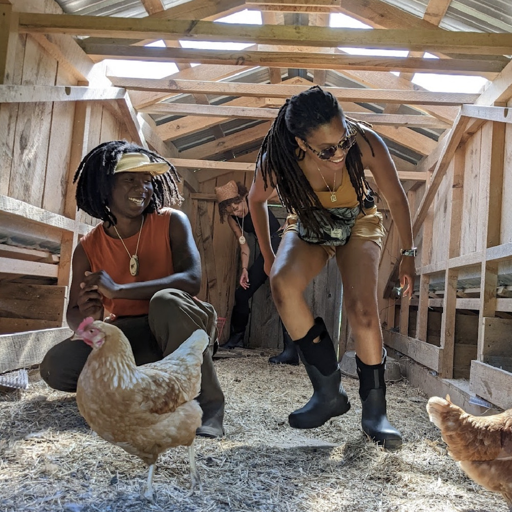 Two women farmers catching chickens in the coup at Soul Fire Farm in Petersburg, NY