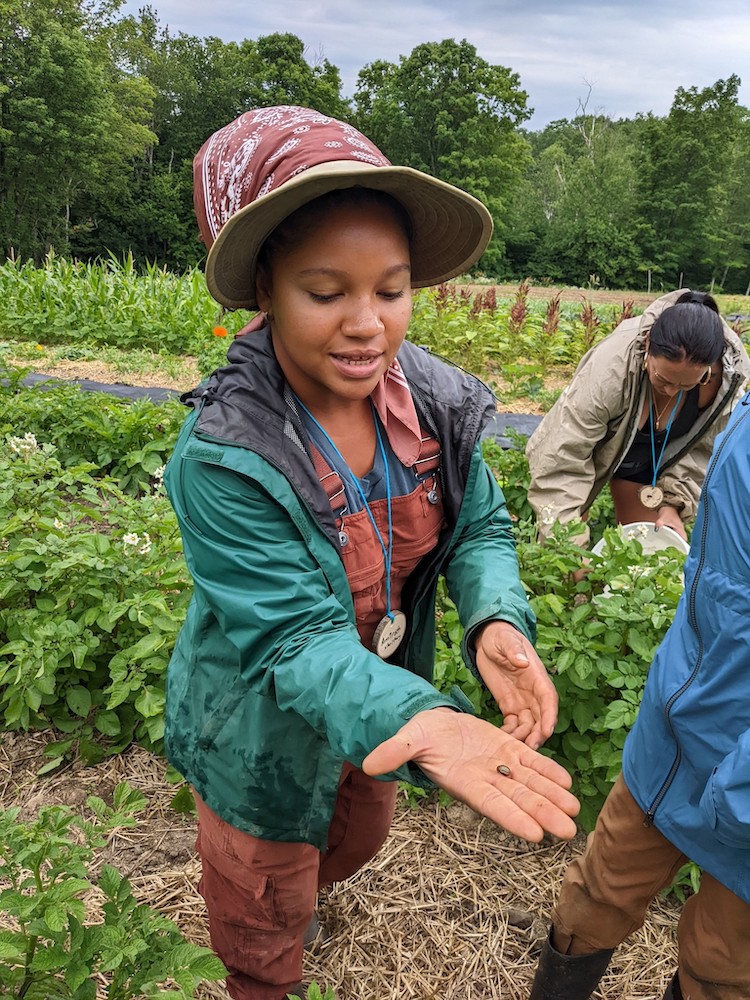 Farmer is showing the seed at Soul Fire Farm in Petersburg, NY