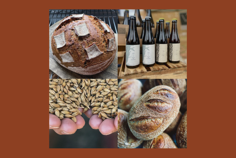 Breads, Grain and beer by Weiss Ferments in Gilboa NY