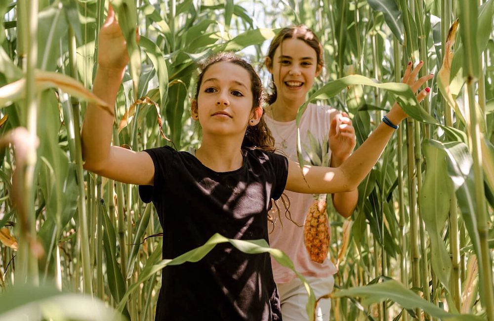 Two young ladies in a corn field at Hawthorne Valley Farm Kids Camp