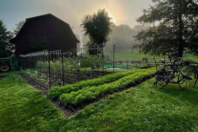 Deadhead Farms in Hurley NY