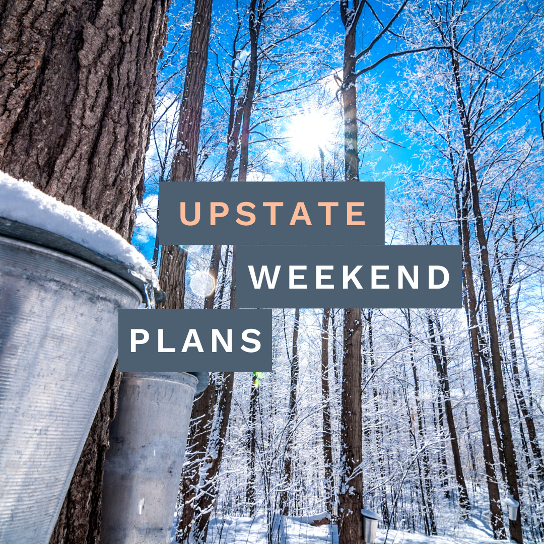 maple trees with silver buckets and taps on the trees with the "Upstate Weekend Plans" text written across the photo for the Hudson Valley, NY