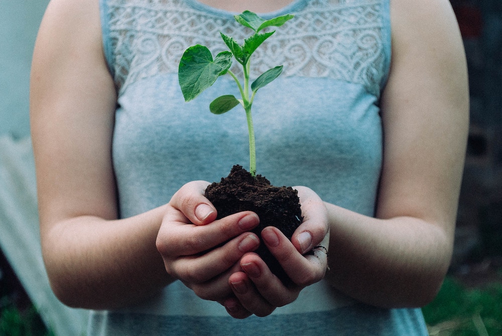 woman holding a plant in some dirt in her hands