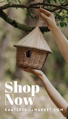 Kaasterskill market bird house AD