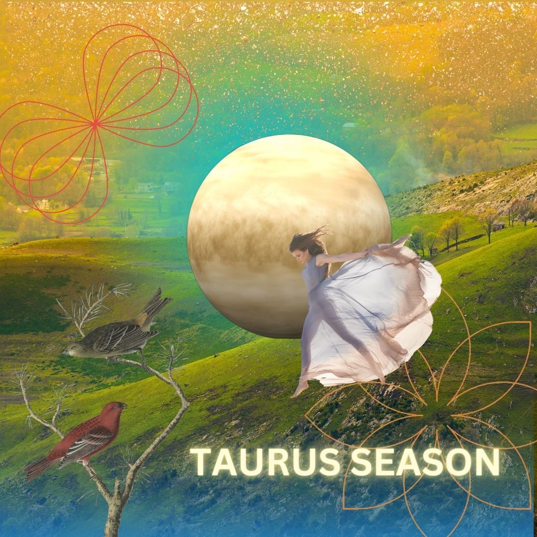 TAURUS ENERGY REPORT by Rebecca Conran in Kingston NY