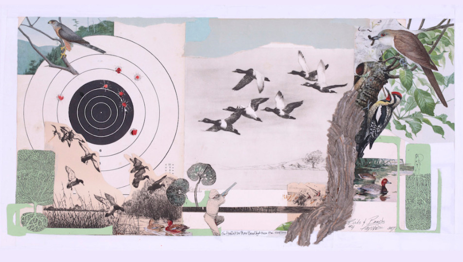 illustration by Fay Wood Studios in Saugerties NY