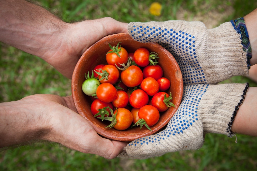 basket of cherry tomatoes for Community Building Through Volunteers blog by Jenny Wonderling and Inside+Out Upstate NY in the Hudson Valley