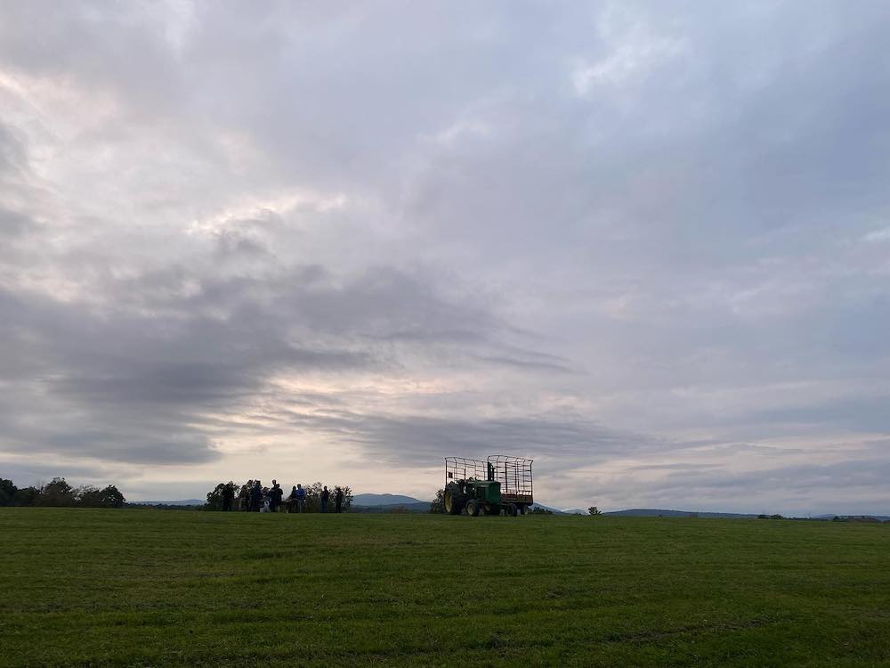image_1
