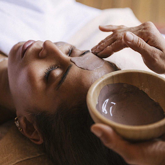 Holistic Wellness at Habitas-on-Hudson