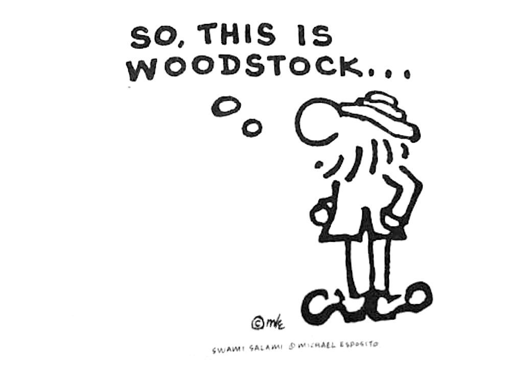 Michael Esposito Swami Salami Cartoonist