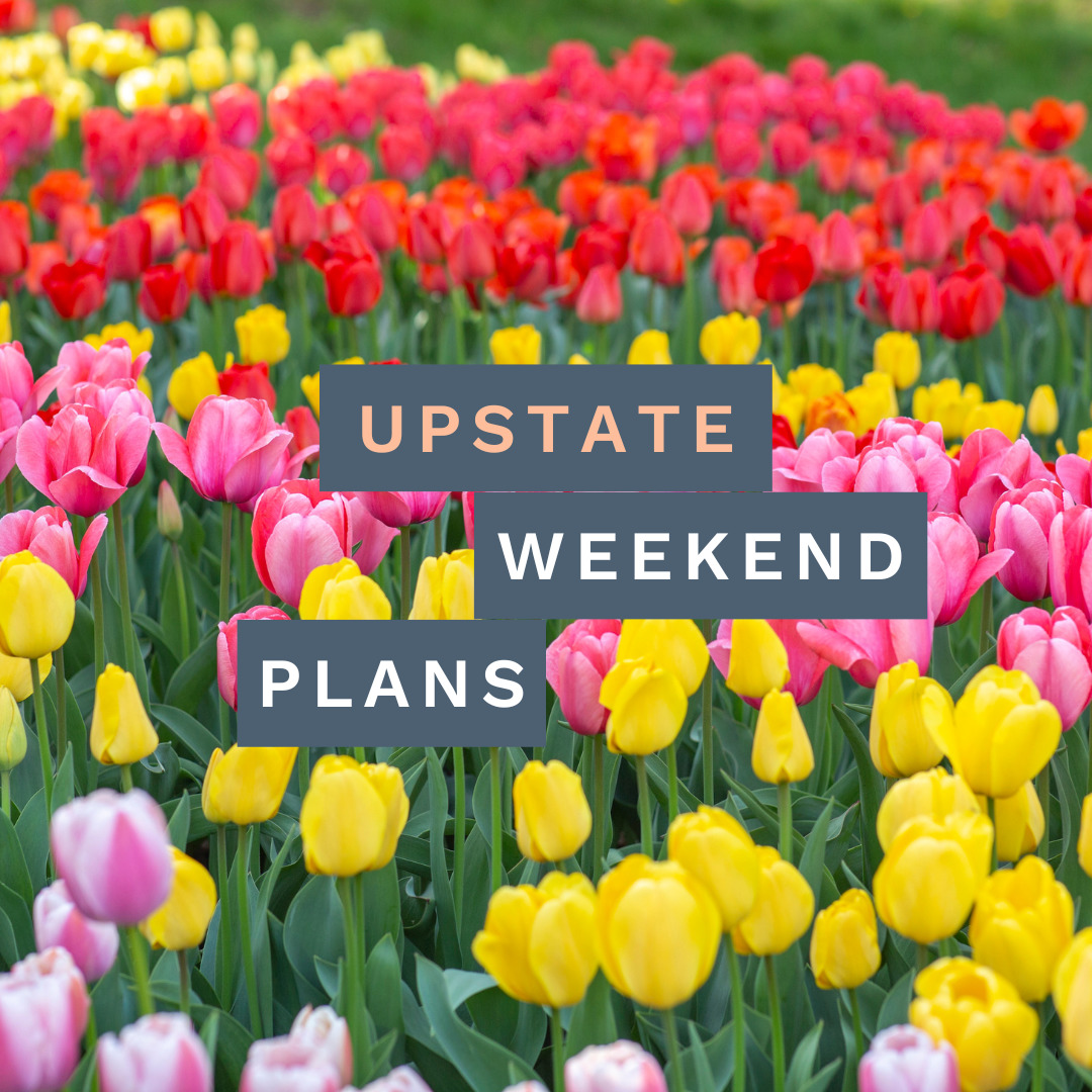 Fields of tulips with the "Upstate Weekend Plans" text written across the photo for the Hudson Valley, NY.