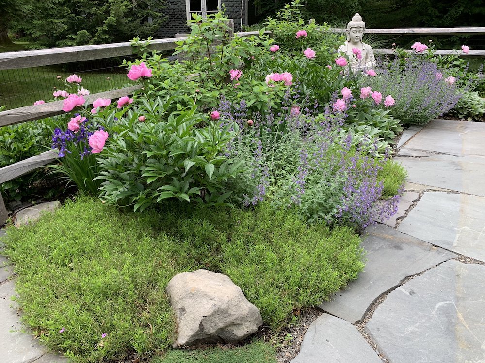 Carol Washington Landscape Designer in Saugerties NY