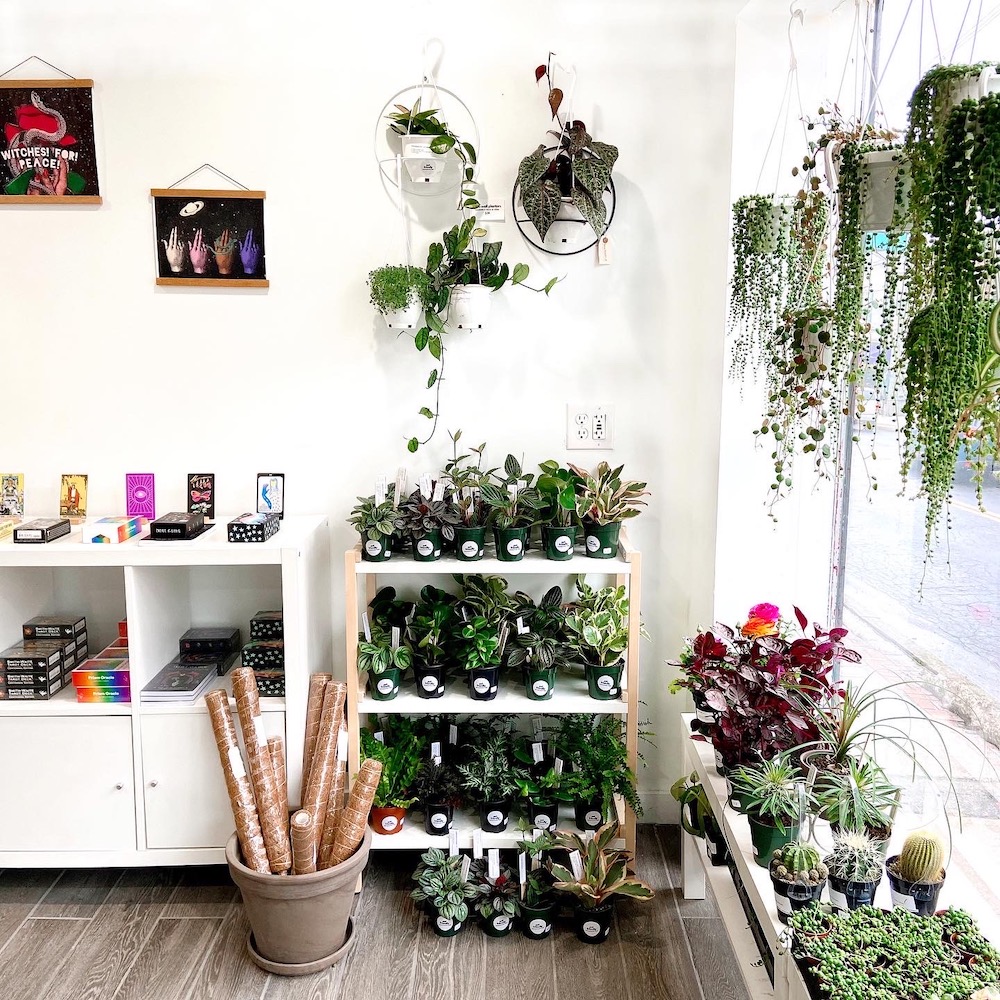 Ritualist Store in New Platz NY
