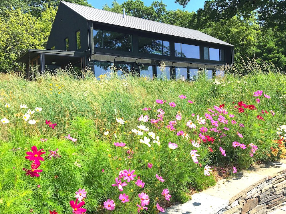 Carol Washington Landscape Designer in Saugerties NY