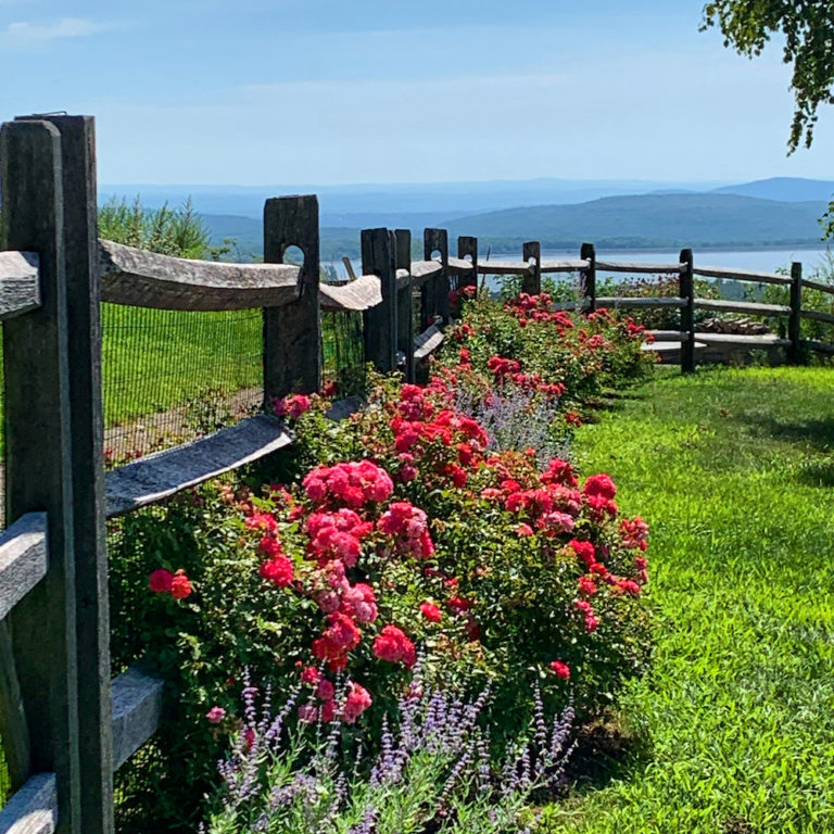 Carol Washington Landscape Designer in Saugerties NY